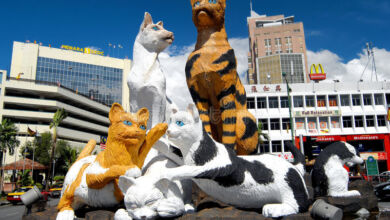 kuching Cat Statue at noon in the city