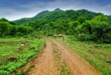 October Honeymoon ideas