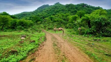 October Honeymoon ideas